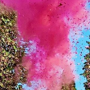 Gender reveal cannons - GIRL